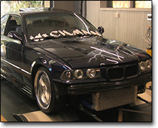 Mappning BMW 325 - Link G4